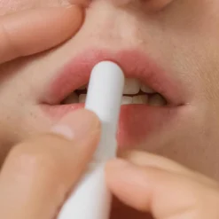 Baume à Lèvres Teinté