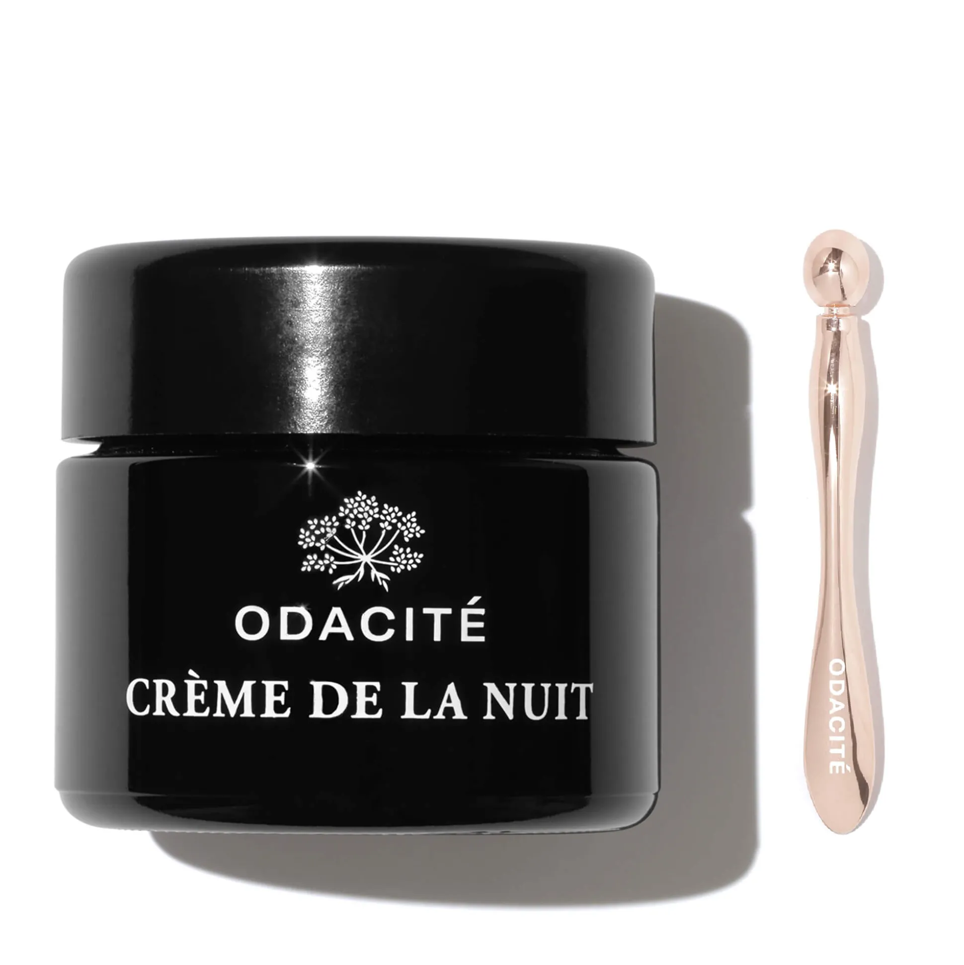 Crème de la Nuit Vitamine C + Ashwagandha