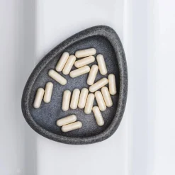 Glutamine Complément Intestinal