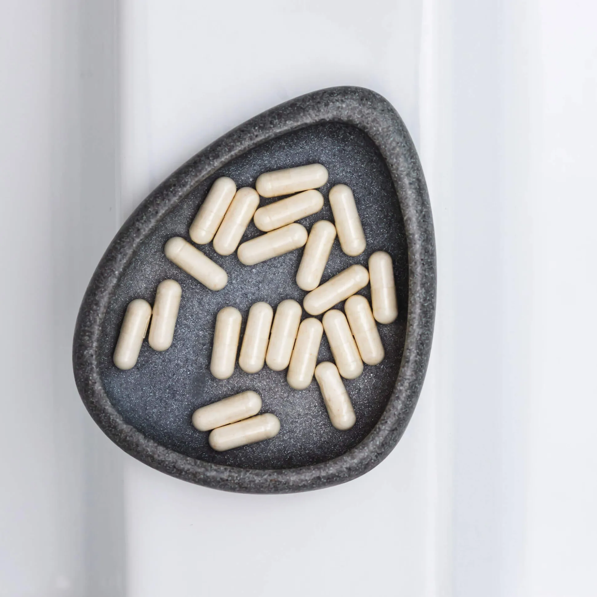 Glutamine Complément Intestinal