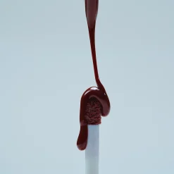 Huile à Lèvres Teintée