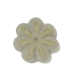 Le Shampoing Solide Detox