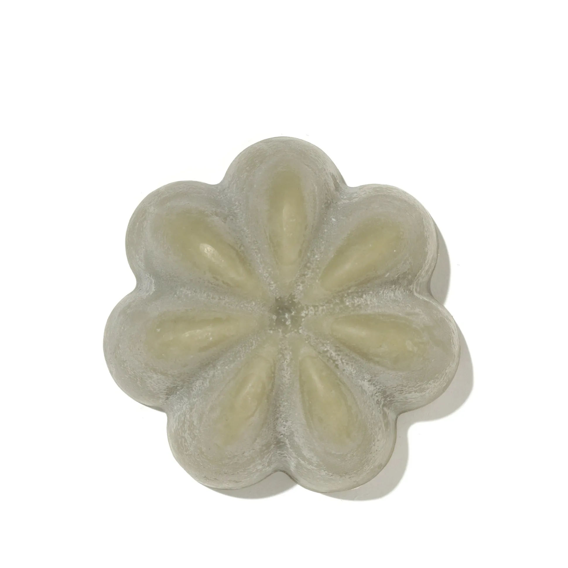 Le Shampoing Solide Detox