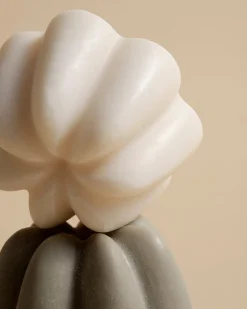 Le Shampoing Solide Doux