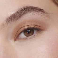 Liquid Powder Chromatic Eye Tint Fard à Paupières Crème