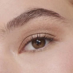 Liquid Powder Chromatic Eye Tint Fard à Paupières Crème