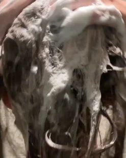 552M Shampoo Bar Shampoing Solide Argan + Huile de Coco