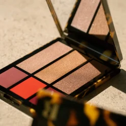 Palette Visage Blush et Highlighters