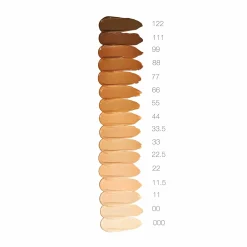 Re Evolve Natural Finish Foundation Fond de Teint