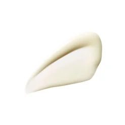 Repairative Moisturizer Hydratant Réparateur