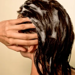 Shampoing Cheveux Fins Weightless Hydration Champú de Yucca