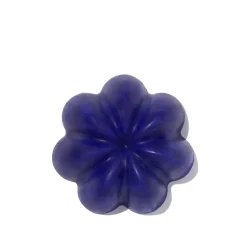 Shampoing Violet Solide