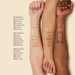 True Skin Serum Concealer Correcteur de Teint